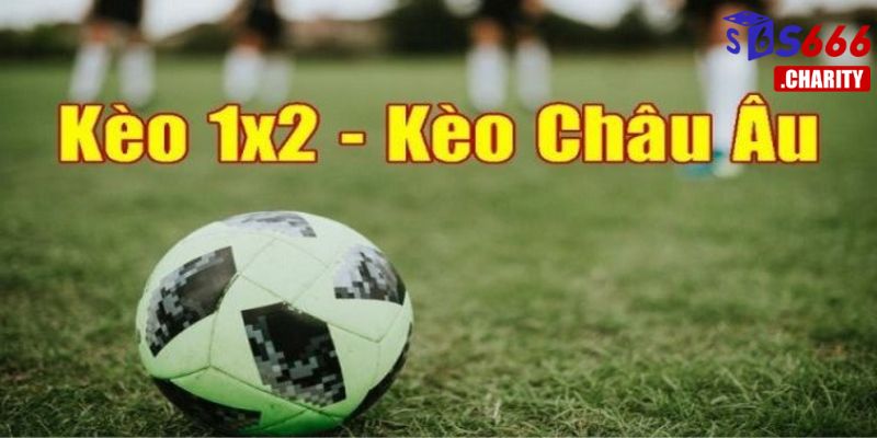 Kèo Châu Âu - Hình thức đặt cược được yêu thích trên nền tảng S666